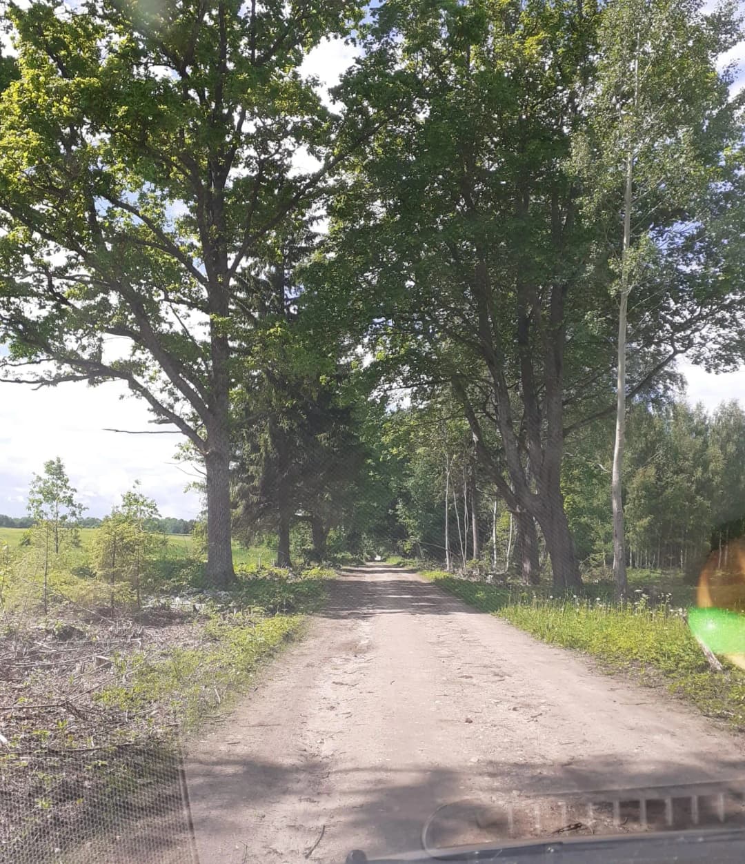 Dižolgāres, Smārdes pagasts, Tukuma novads — bilde 2