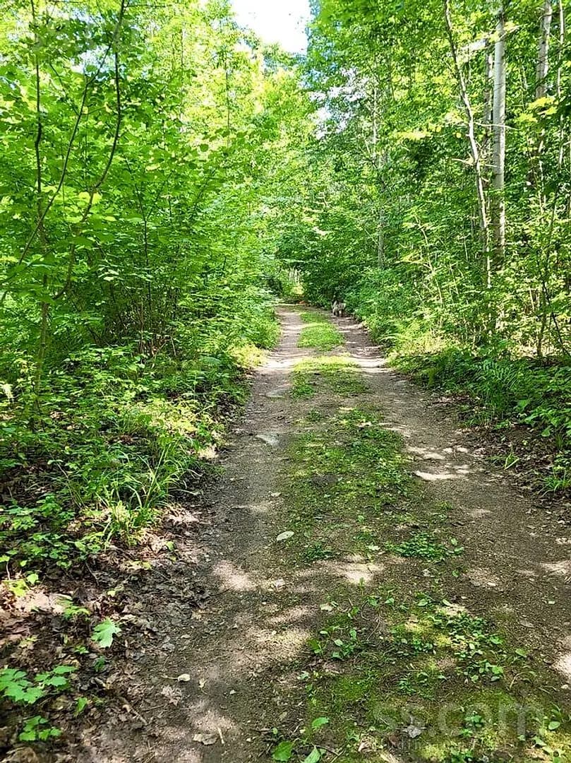 Māja — Priednieki — bilde 4