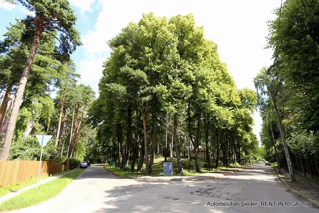 Mežaparks, Rīga — bilde 4