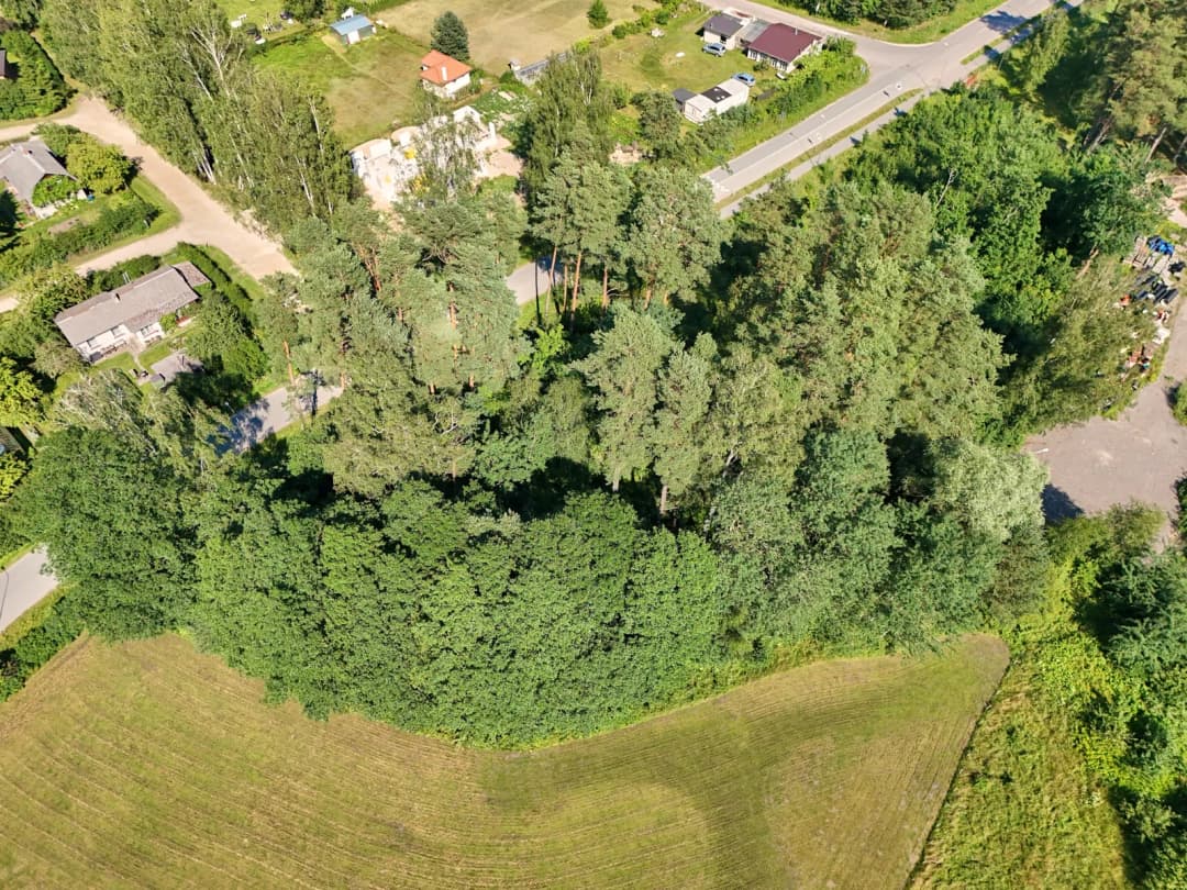 Krupīši, Garupe, Carnikavas pagasts — bilde 4