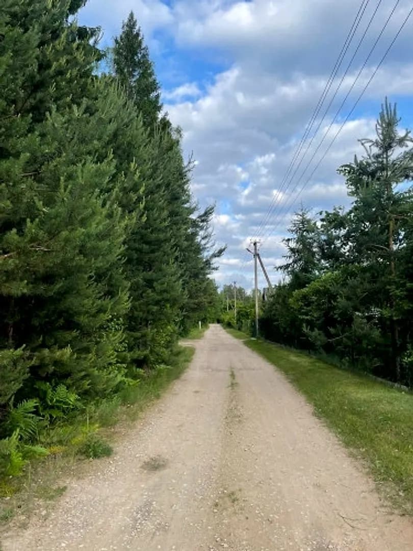 Tiek pārdoti 2 zemesgabali meža ielokā. Nr 195, 678 m2 - 9300 EUR Nr 196, 721 m2 - 9800 EUR