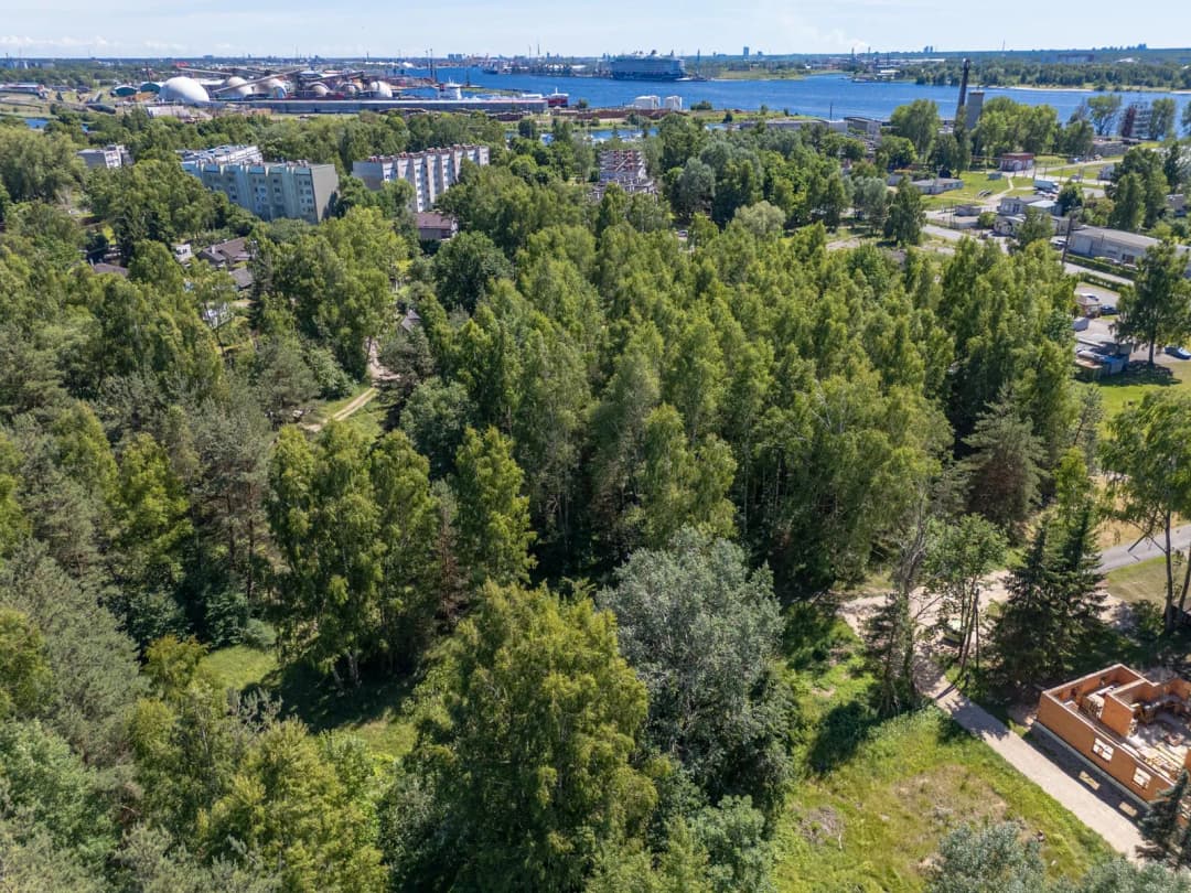 Vižņu iela, Rīga — bilde 2
