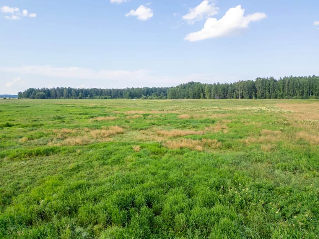 Valmieras nov., Burtnieku pagasts, Irbītes — bilde 4