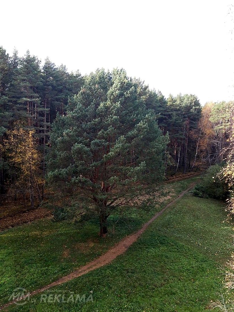 Dzīvoklis Jūrmalā, Kauguros, 54 м², 2 ist., 4 stāvs. — bilde 4