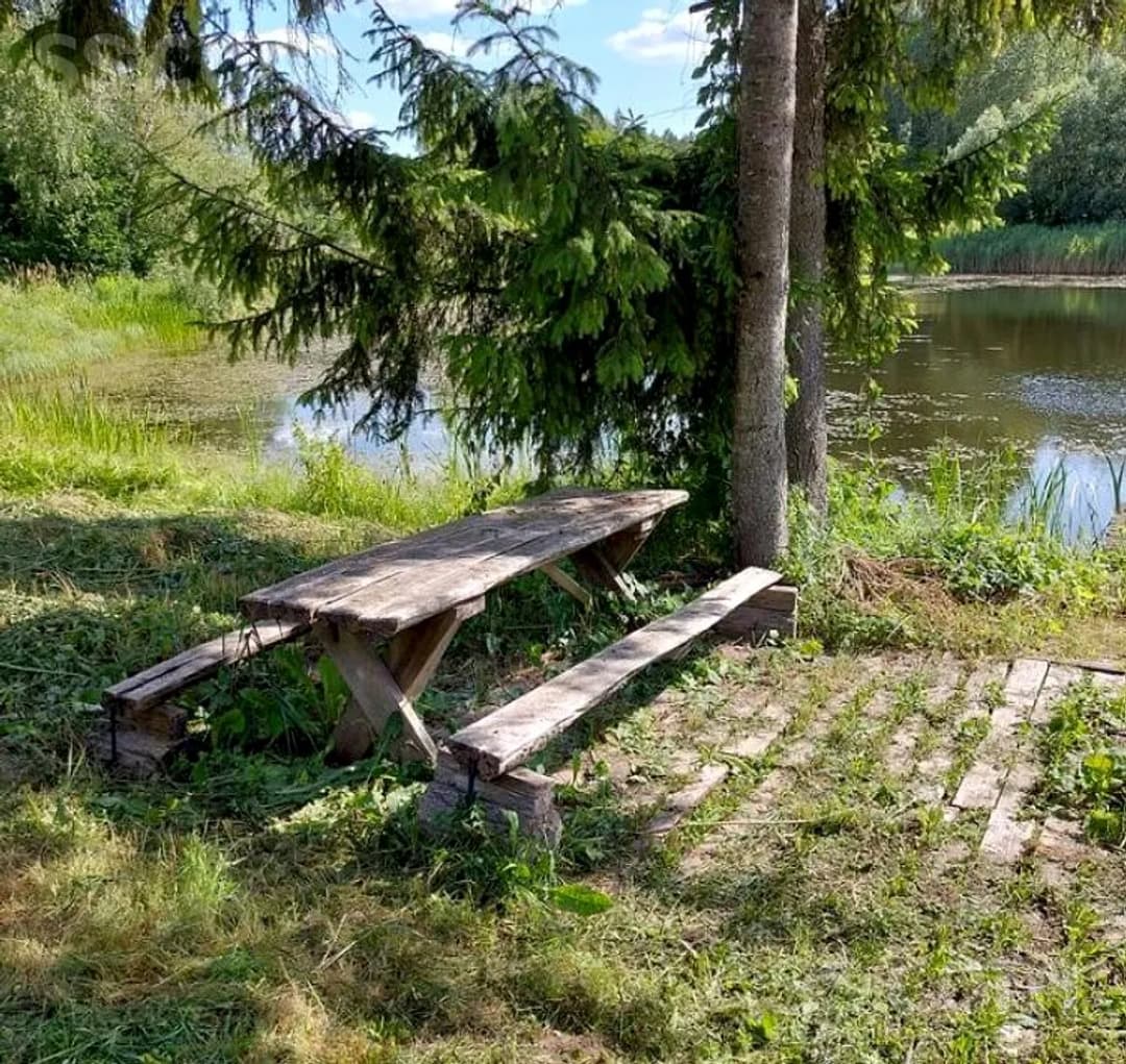Māja — Pīlādži — bilde 4