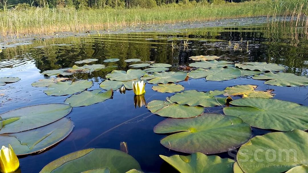 Māja — Rīga-Skaistkalne — bilde 2
