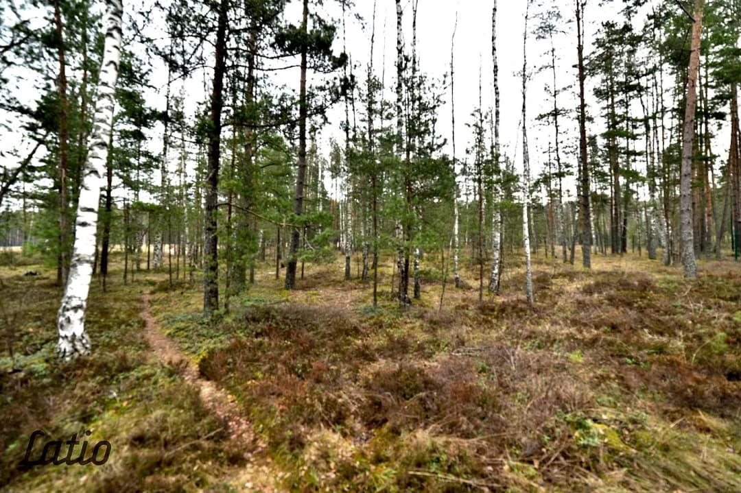 Vecmīlgrāvis, Rīga — bilde 3