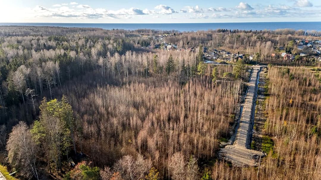 Ziemeļvidzemes biosfēras rezervāta teritorijā, tikai 58 km attālumā no Rīgas centra un 900 — bilde 4
