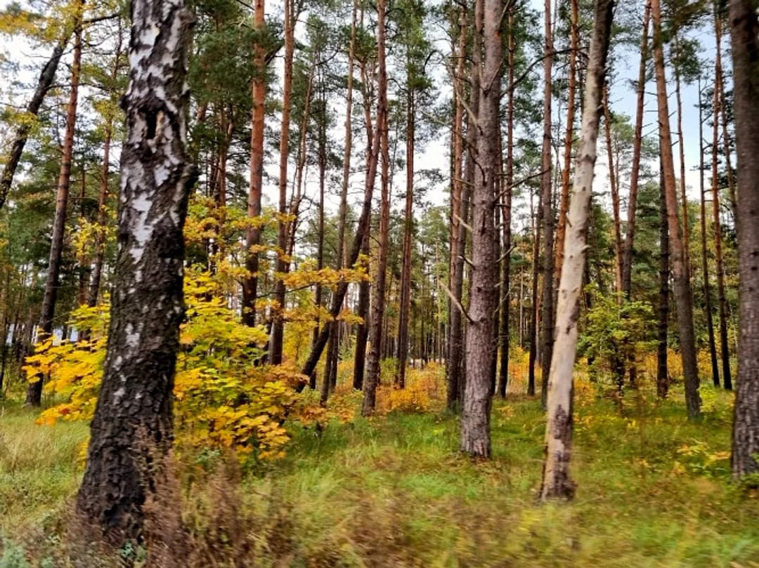 Zemesgabals ar apstiprinātu būvatļauju rindu māju projektam 6 pilnībā optimizētas sekcijas — bilde 3