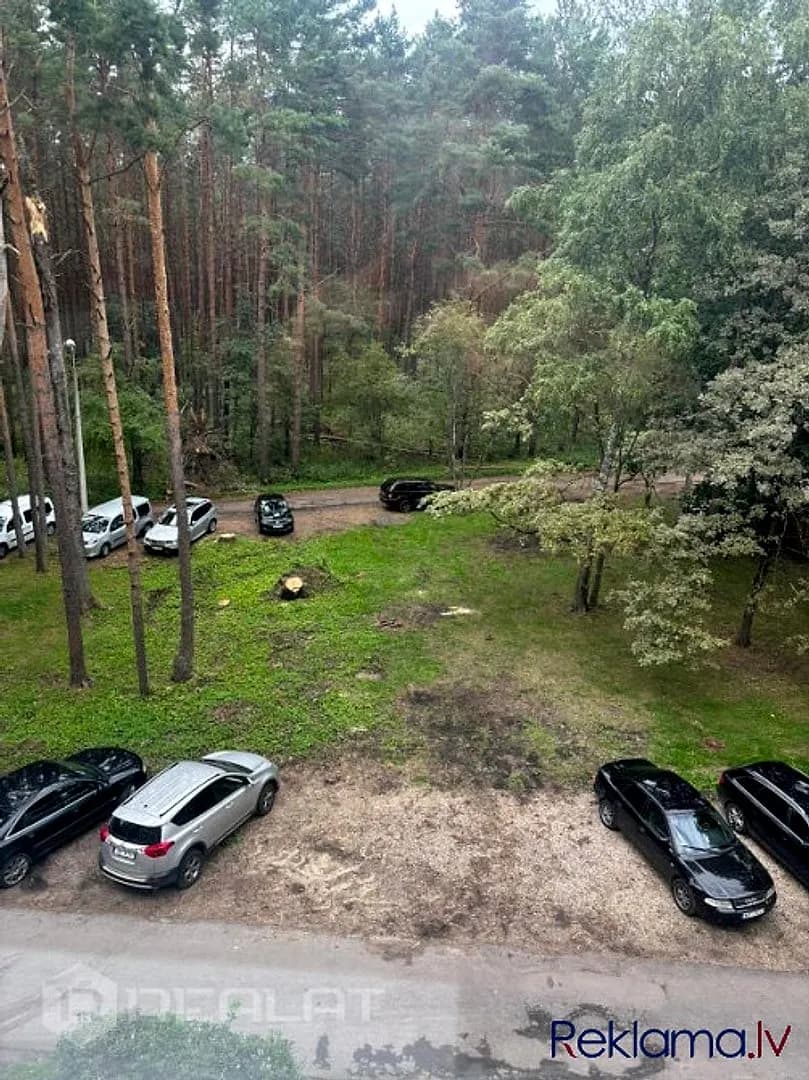 Island Park Kur Paradīze Satiekas ar Iespējām Island Park ir vīzionāra piekrastes dzīvojamā — bilde 4