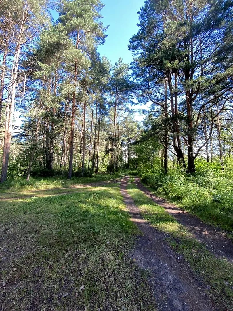 Zeme, 5510㎡ - Rīga, Mangaļsala — bilde 3