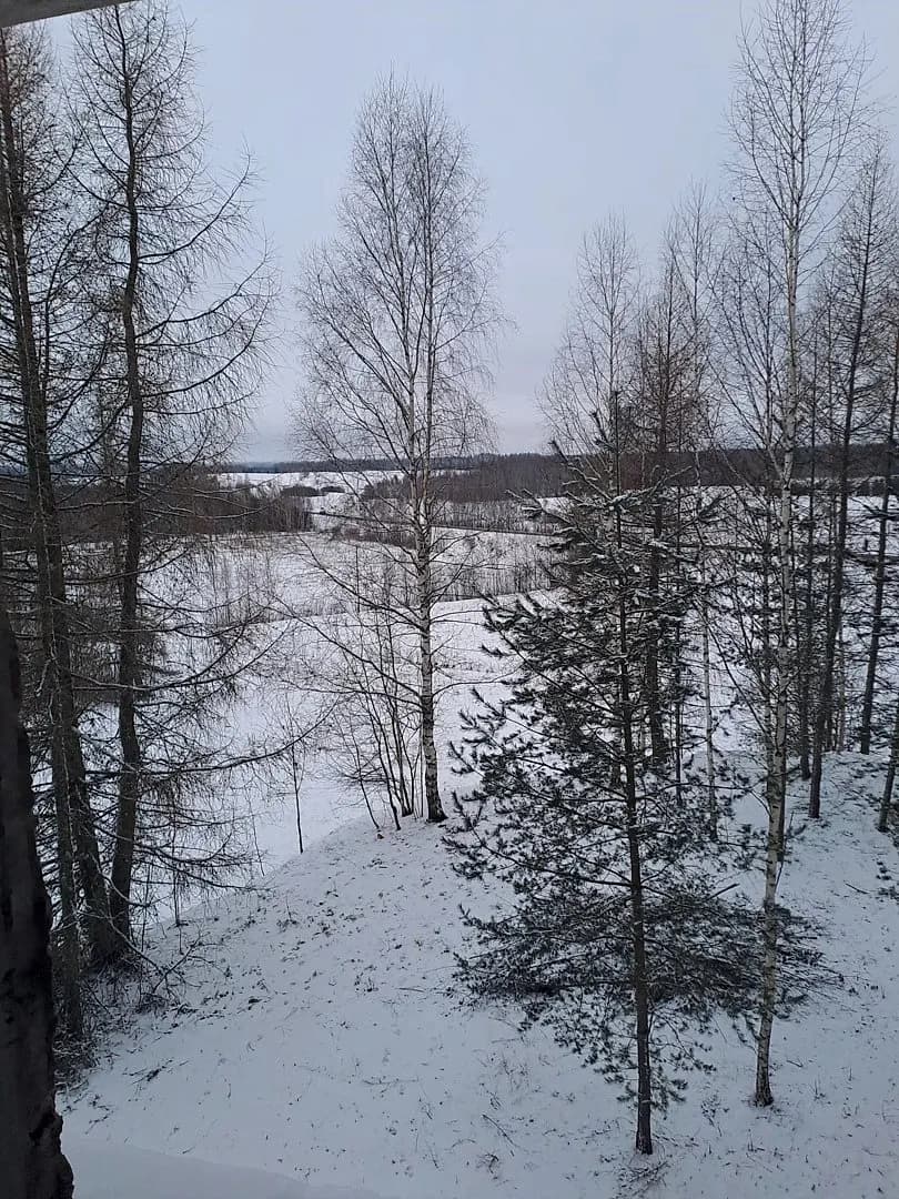 54-ist. Māja, 1100㎡ - Aronas pagasts, Lautere — bilde 4