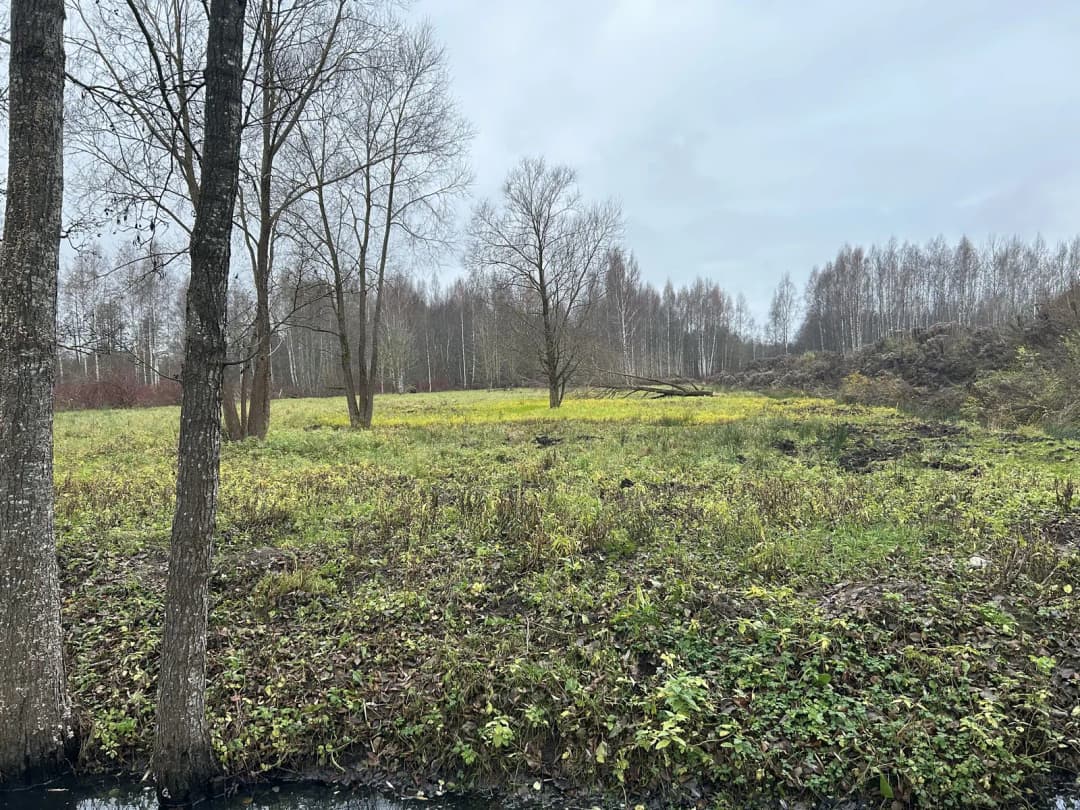 Mūkupurva iela, Mūkupurvs, Rīga