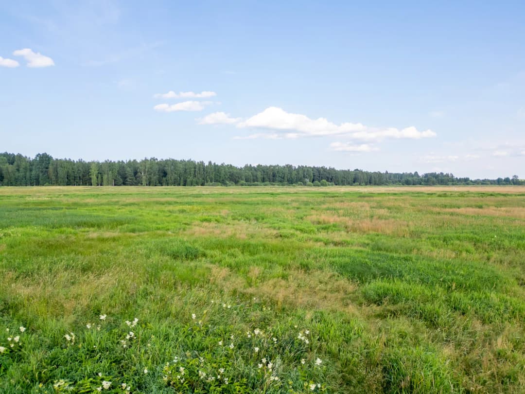 Valmieras nov., Burtnieku pagasts, Irbītes — vēl bildes