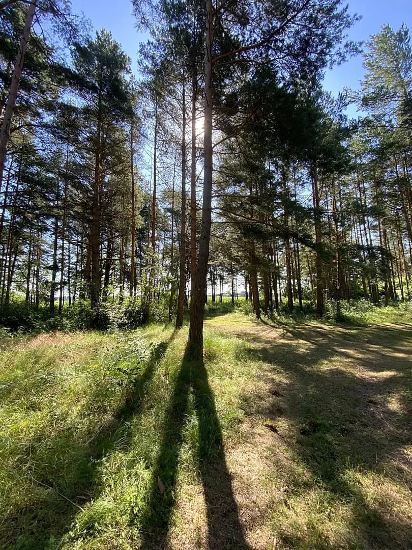 Zeme, 5510㎡ - Rīga, Mangaļsala — bilde 2