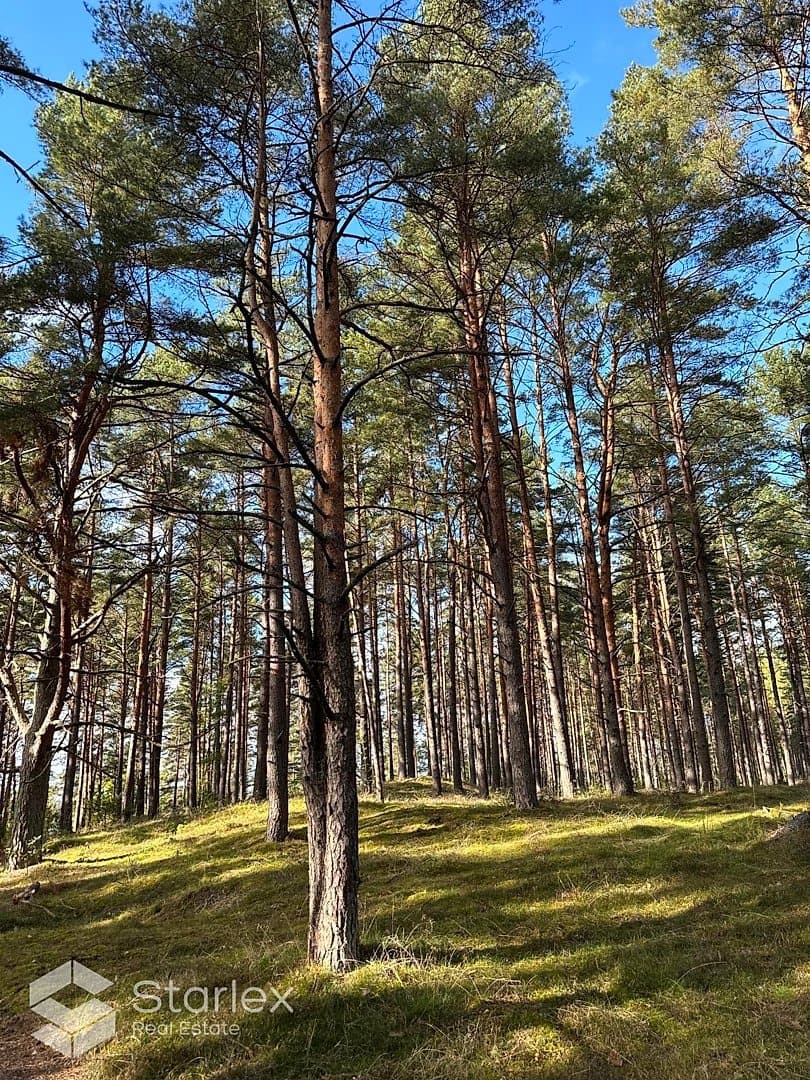 Zeme, 13200㎡ - Ādažu pagasts, Kadaga — bilde 3