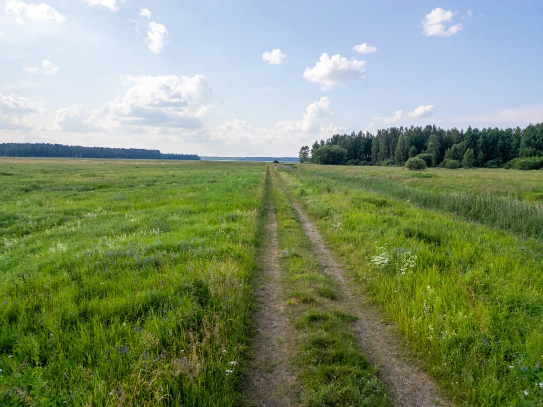 Valmieras nov., Burtnieku pagasts, Irbītes — bilde 2
