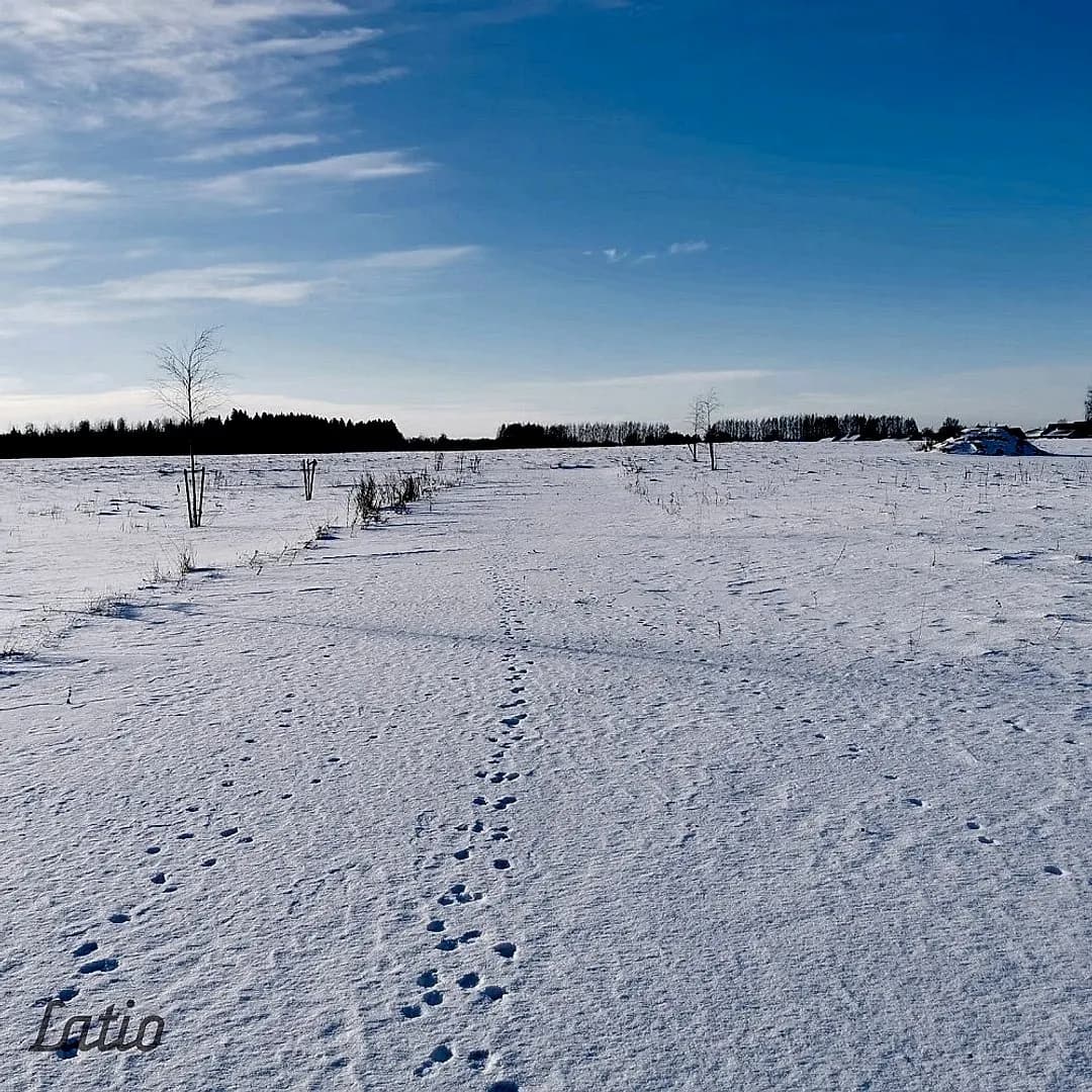 Tiek pārdots perspektīvs zemes īpašums Siguldas pilsētas teritorijā ar platību 5,67 ha, kas — bilde 3