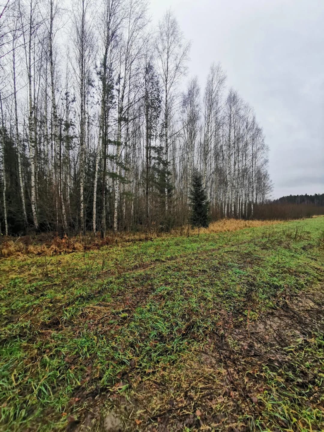 Lēdurgas pagasts, Siguldas novads — bilde 4