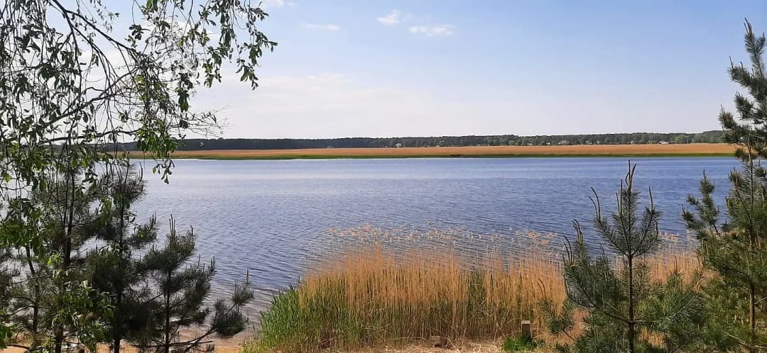Priedaine, Jūrmala — bilde 2