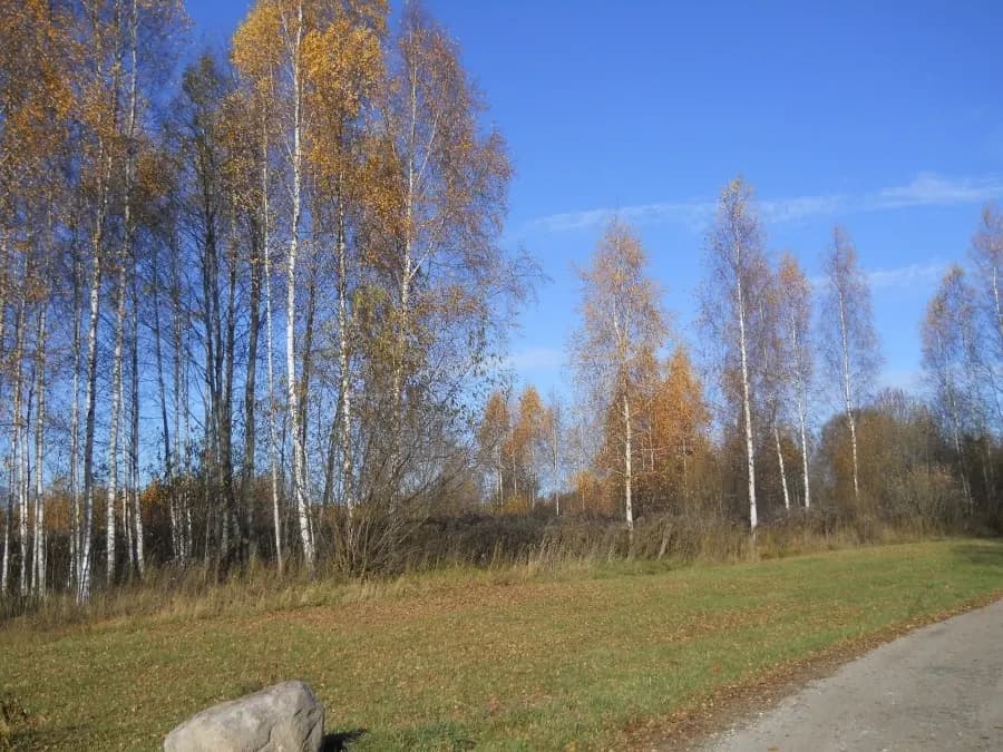 Kokneses pagasts, Aizkraukles novads — vēl bildes