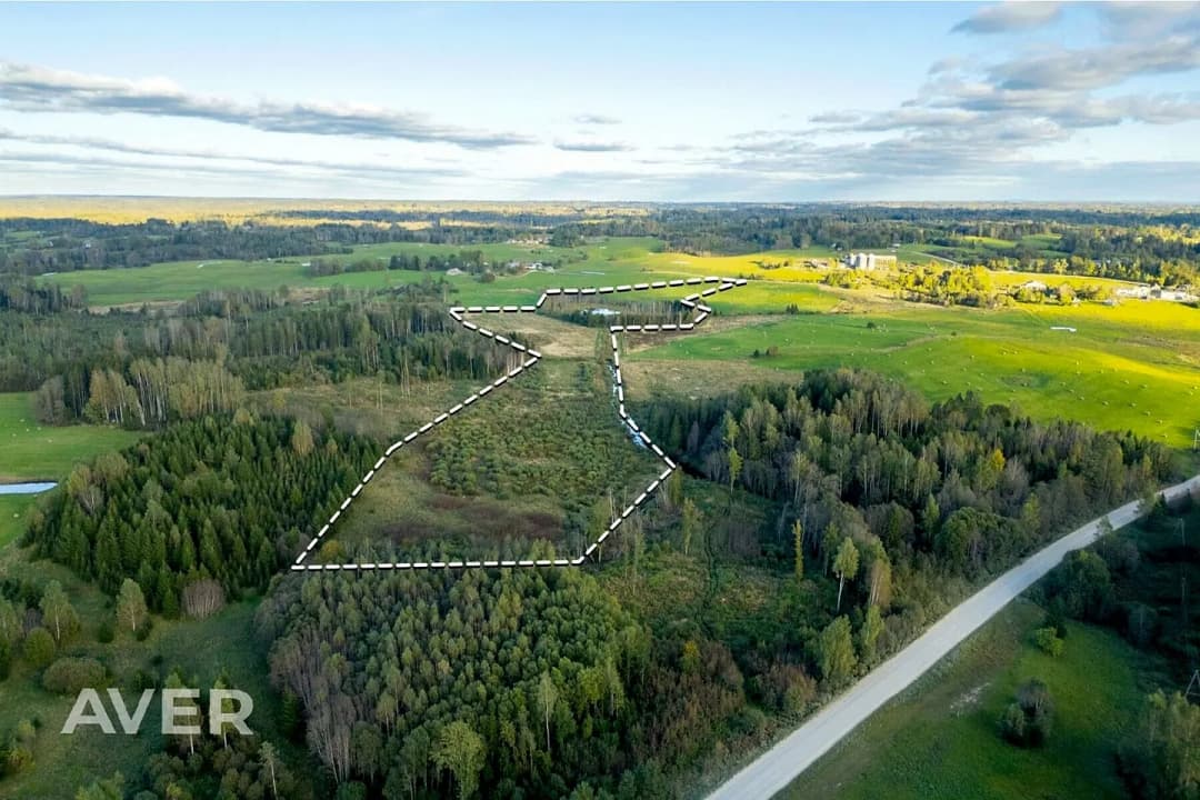 Zeme, 124000㎡ - Cēsu novads, Vecpiebalgas pagasts — bilde 2