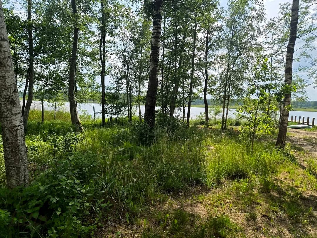 Zeme, 17900㎡ - Talsu novads, Ārlavas pagasts