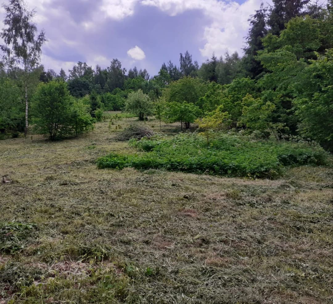 Dižolgāres, Smārdes pagasts, Tukuma novads — bilde 3