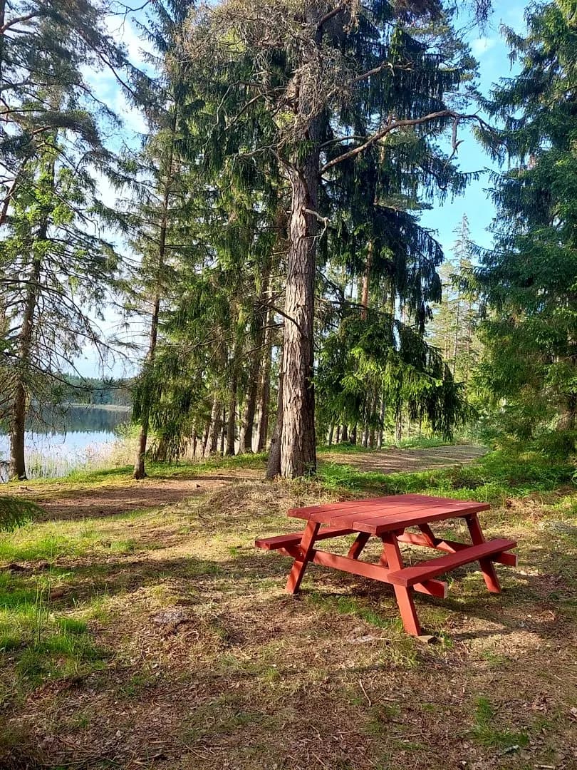 Zeme, 28900㎡ - Talsu novads, Ģibuļu pagasts — vēl bildes