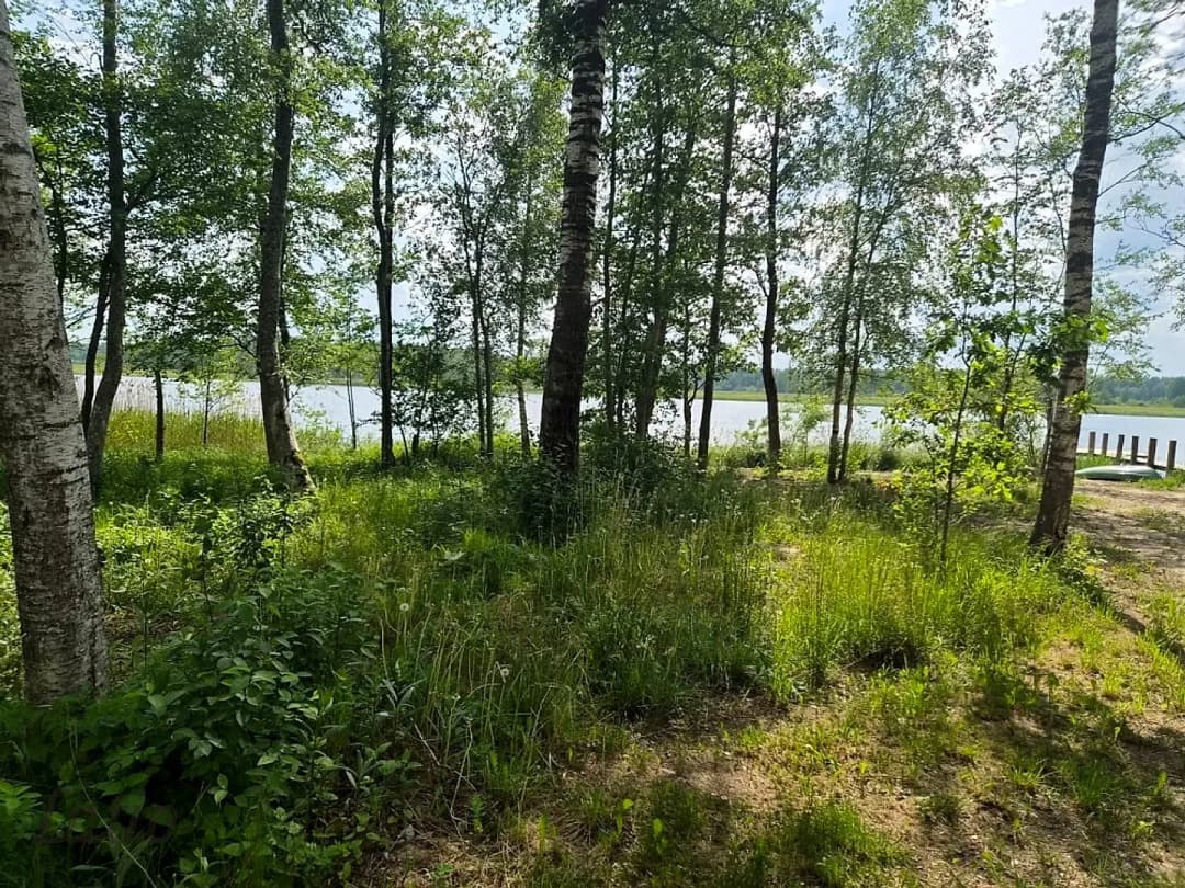 Pārdod skaistu, ainavisku zemes vienību Talsu novadā, Ārlavas pagastā ar skanīgu nosaukumu