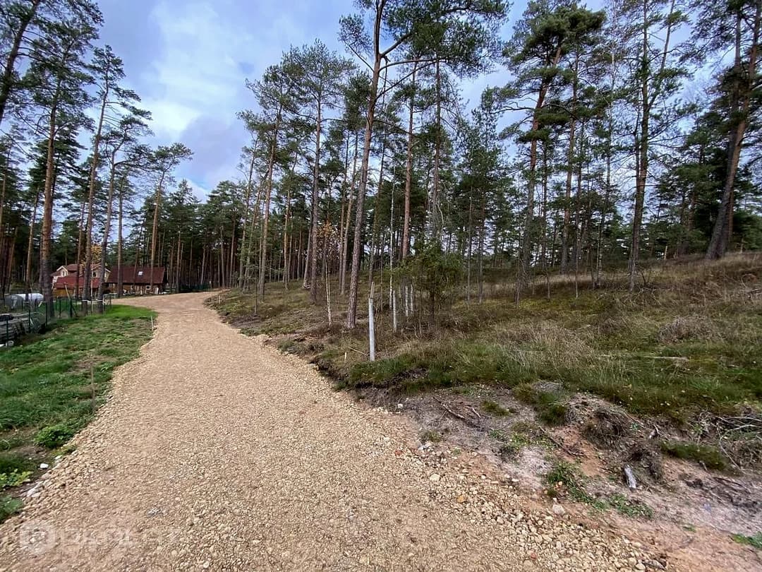 Zeme, 3100.00㎡ - Carnikavas pagasts, Gauja
