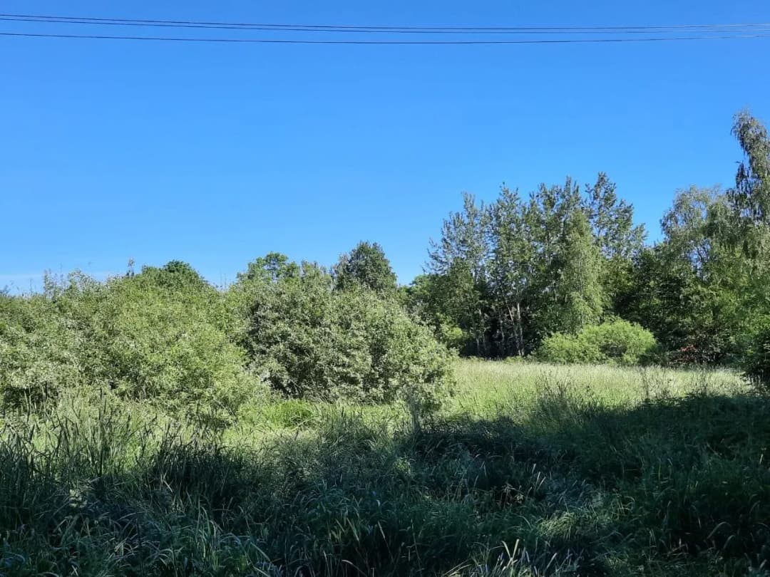 Jaunciema gatve, Trīsciems, Rīga — bilde 2