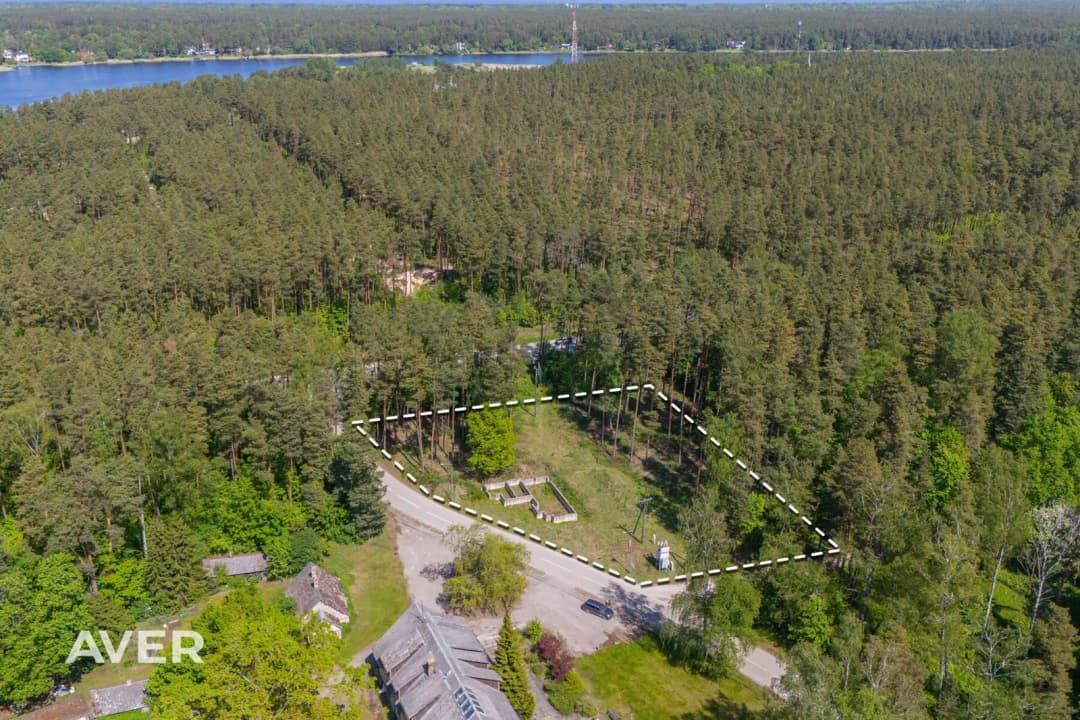 Mārupes nov., Salas pagasts, Sikspārņi, Spuņciems — bilde 3