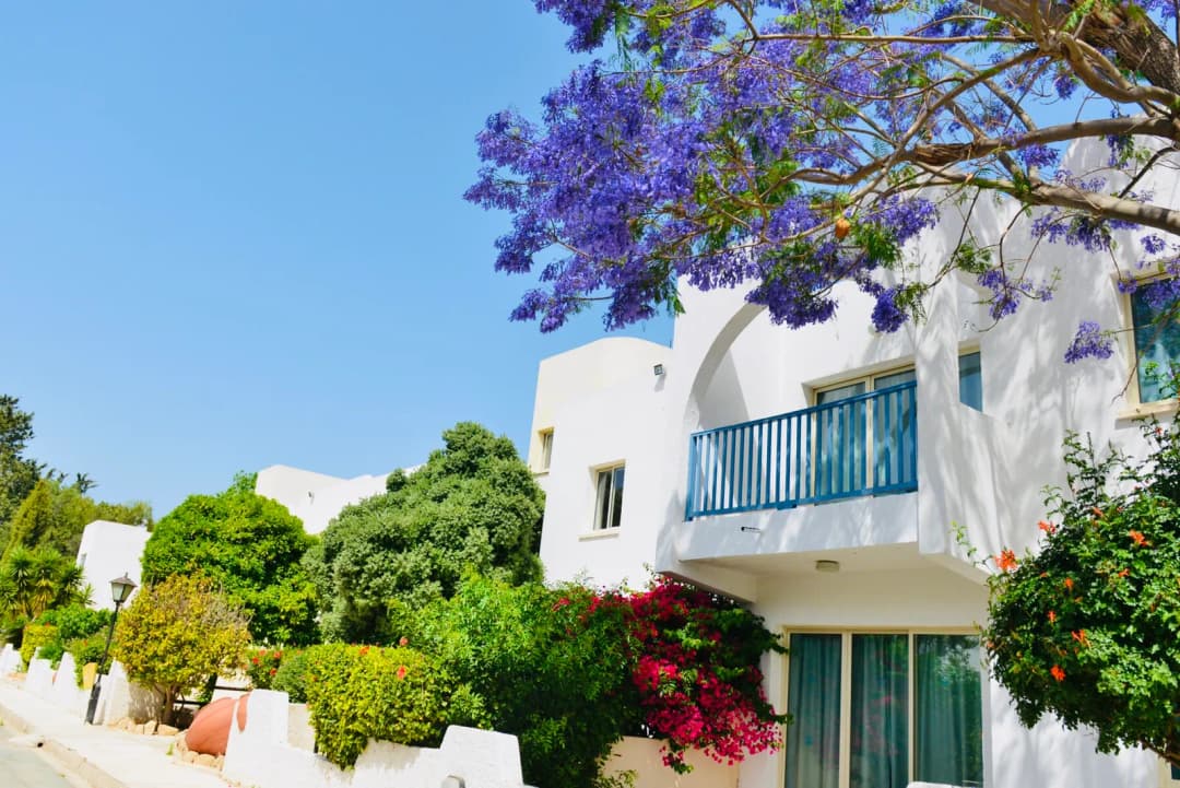 Dzīvoklis Kato Paphos — bilde 2