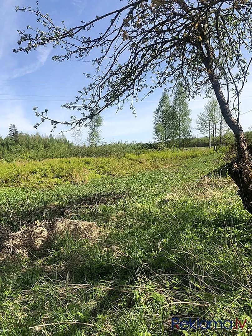 Pārdod zemi skaistā vietā Zemītes pagastā pie pašas Kuldīgas šosejas, netālu no ciemata — vēl bildes