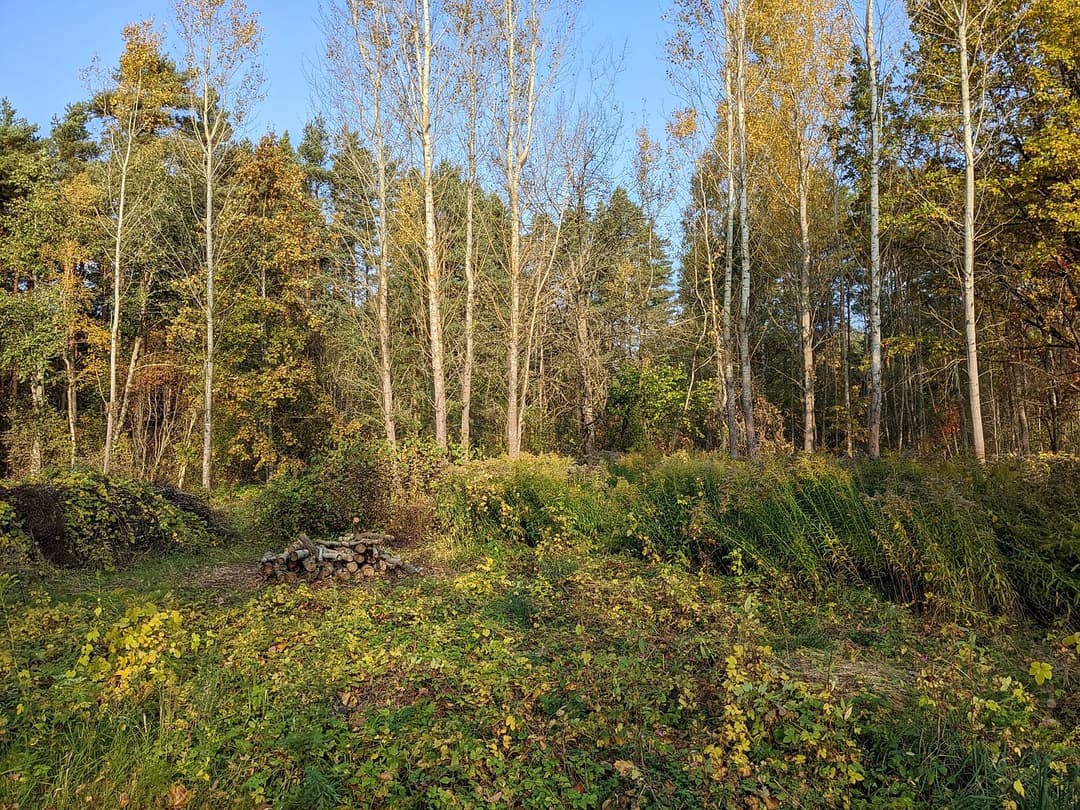 Zeme, 2196㎡ - Jūrmala, Kaugurciems — bilde 3