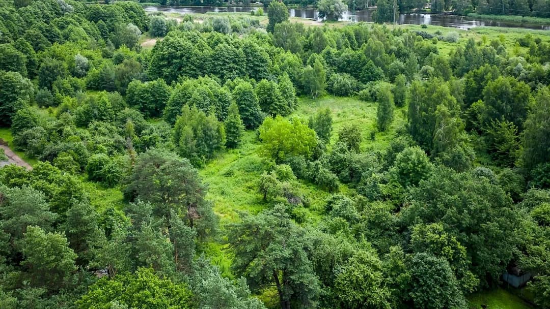 Bukulti, Rīga — bilde 2