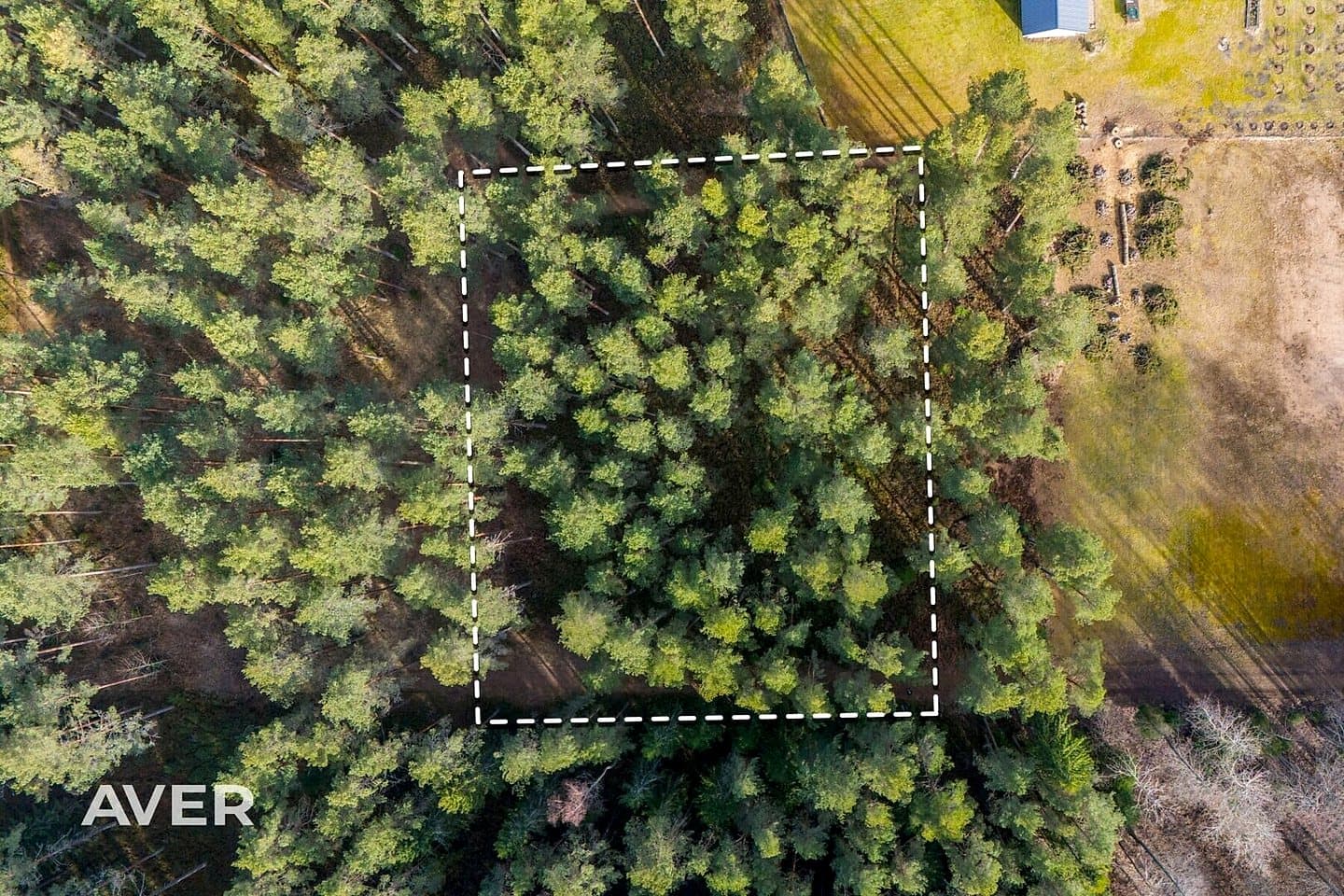 Zeme, 2657㎡ - Engures pagasts, Plieņciems — bilde 3