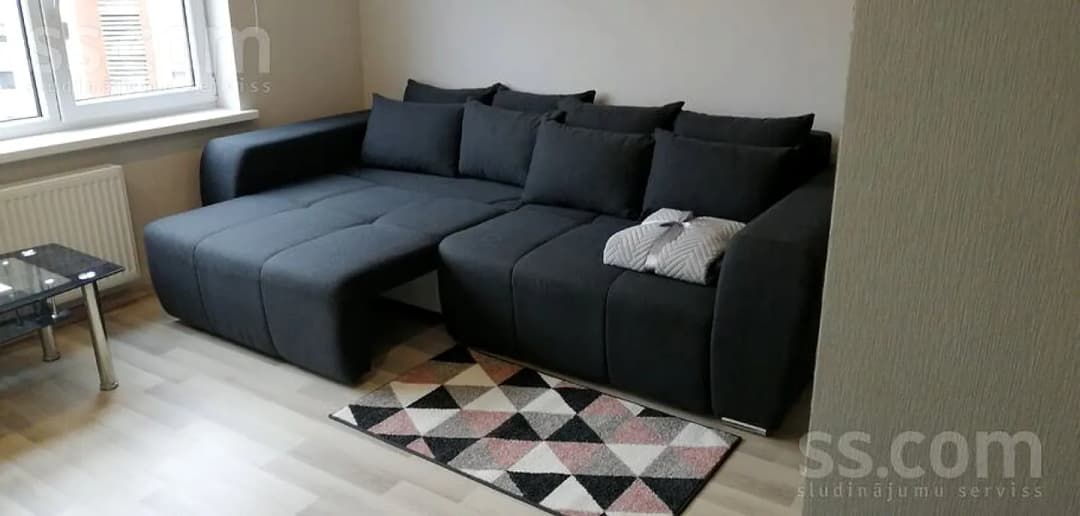 Vienistabas dzīvoklis — Paula Lejiņa 13 — bilde 2