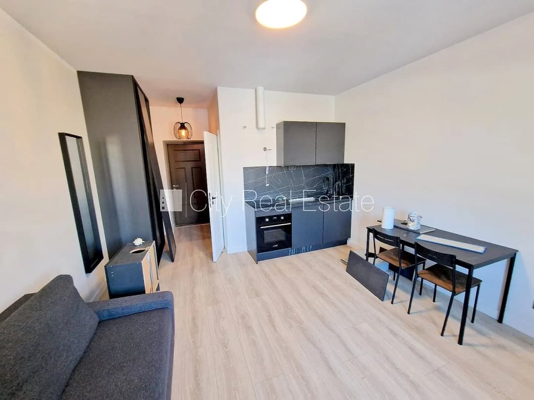 Krišjāņa Barona iela, Centrs