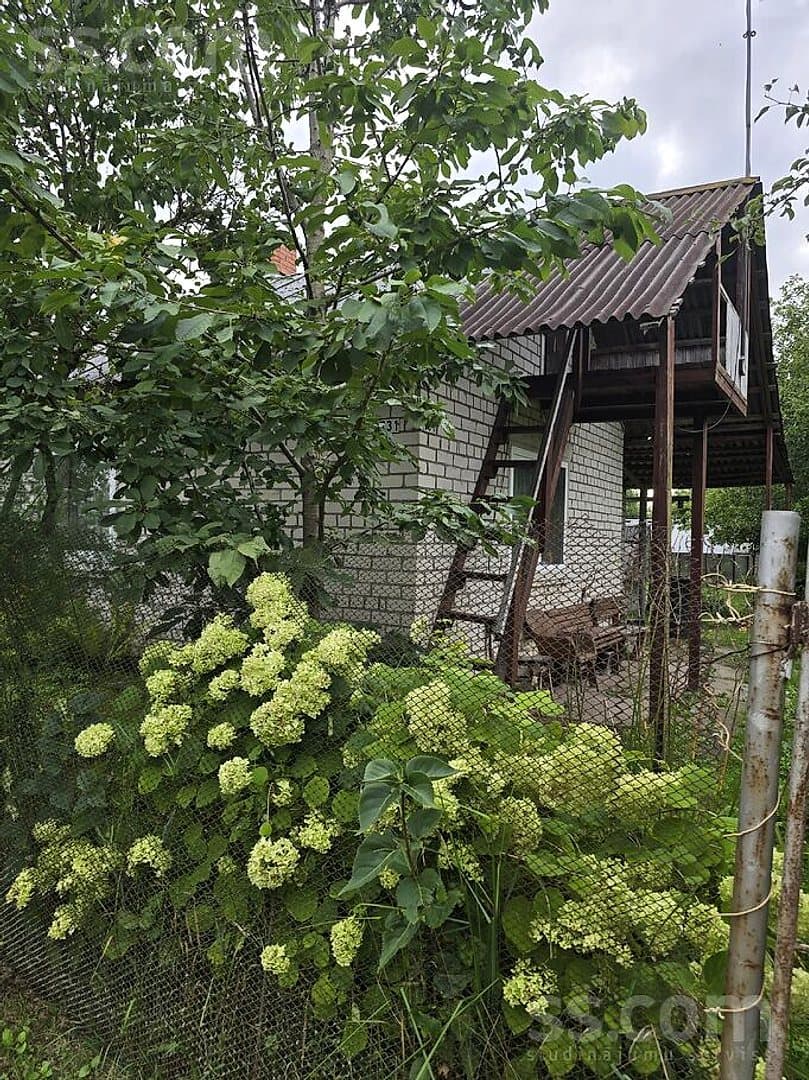 Māja — Lielziedi 731