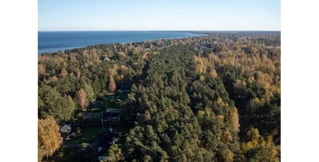 Iela Niedru 9a — vēl bildes