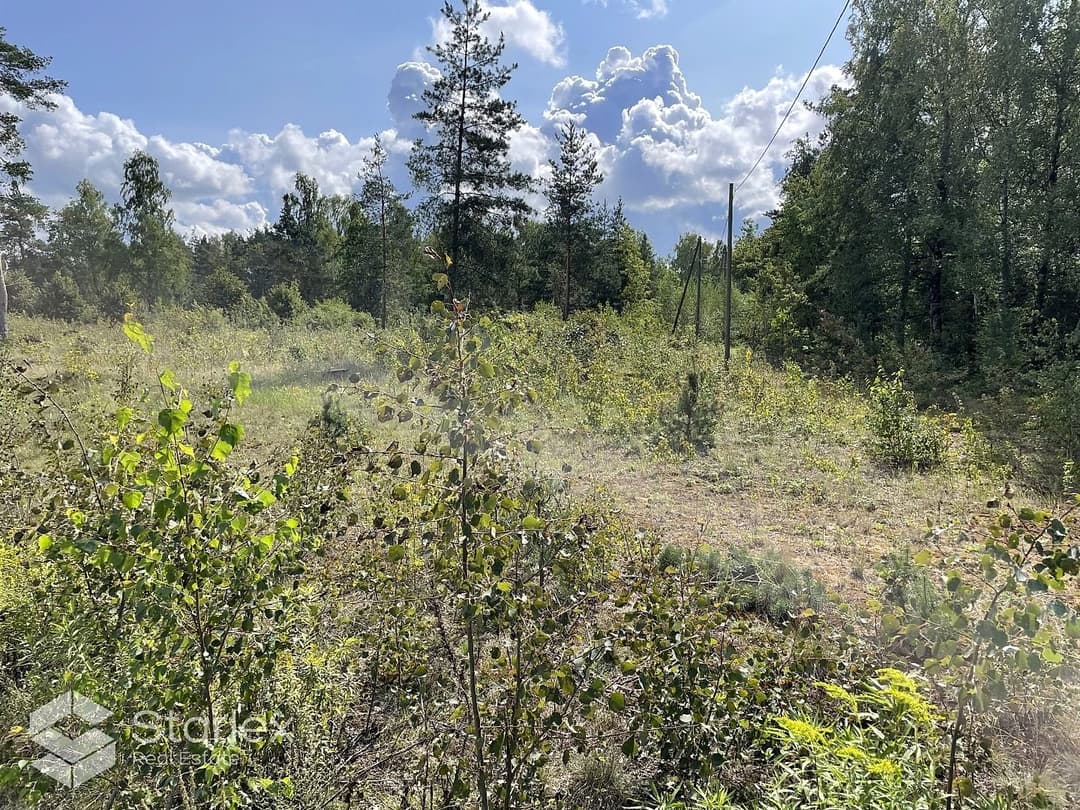 Zeme, 47800㎡ - Stopiņu pagasts, Rumbula — bilde 2