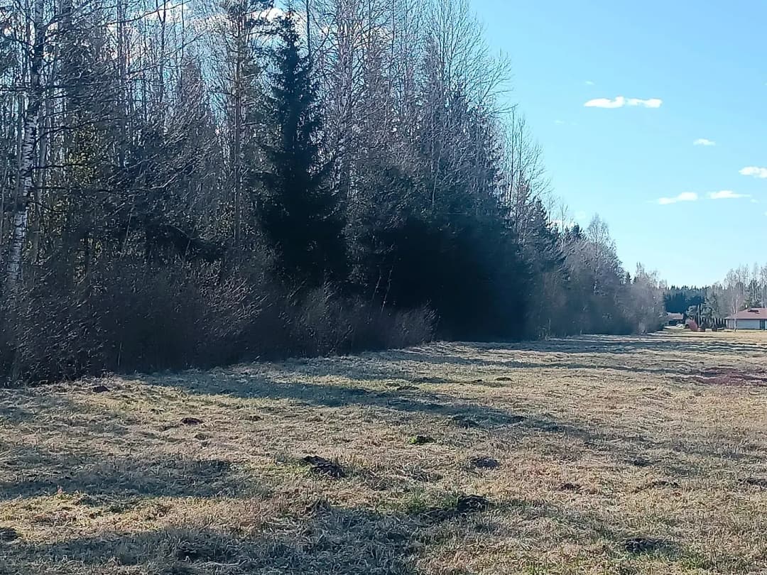 Tīnūžu pagasts, Ikšķiles novads