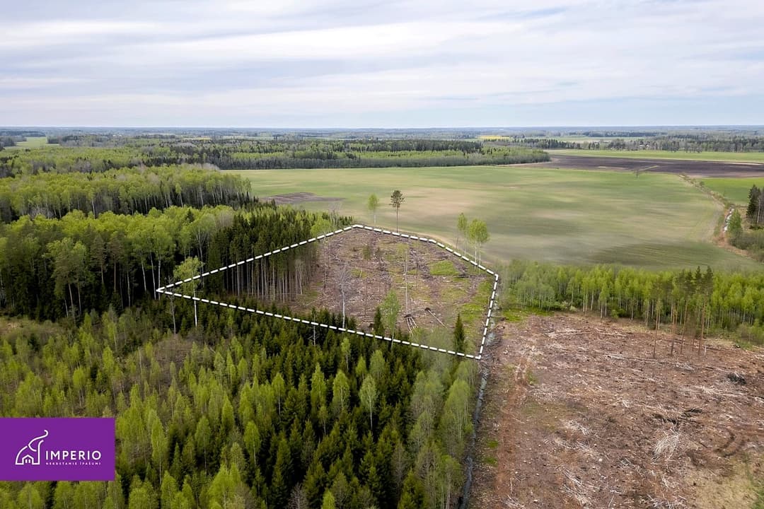 Zeme, 250200㎡ - Aizkraukles novads, Kokneses pagasts — vēl bildes