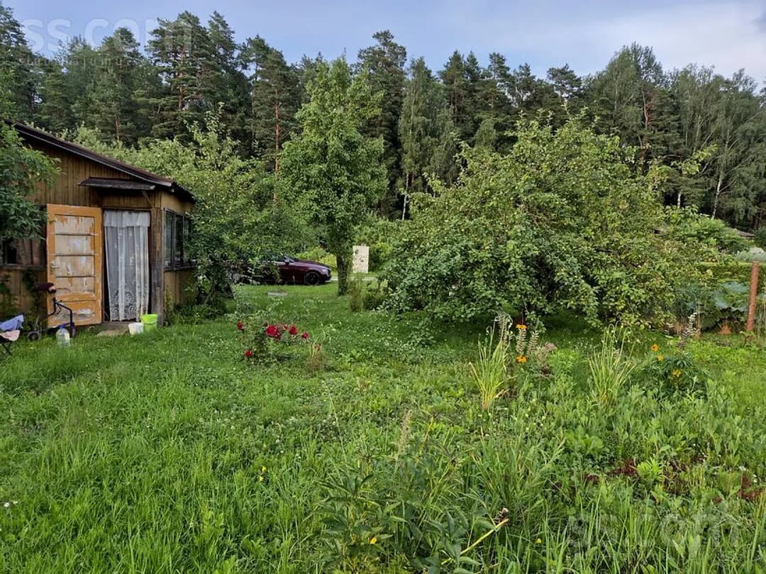Māja — Birzīte 203 — bilde 3