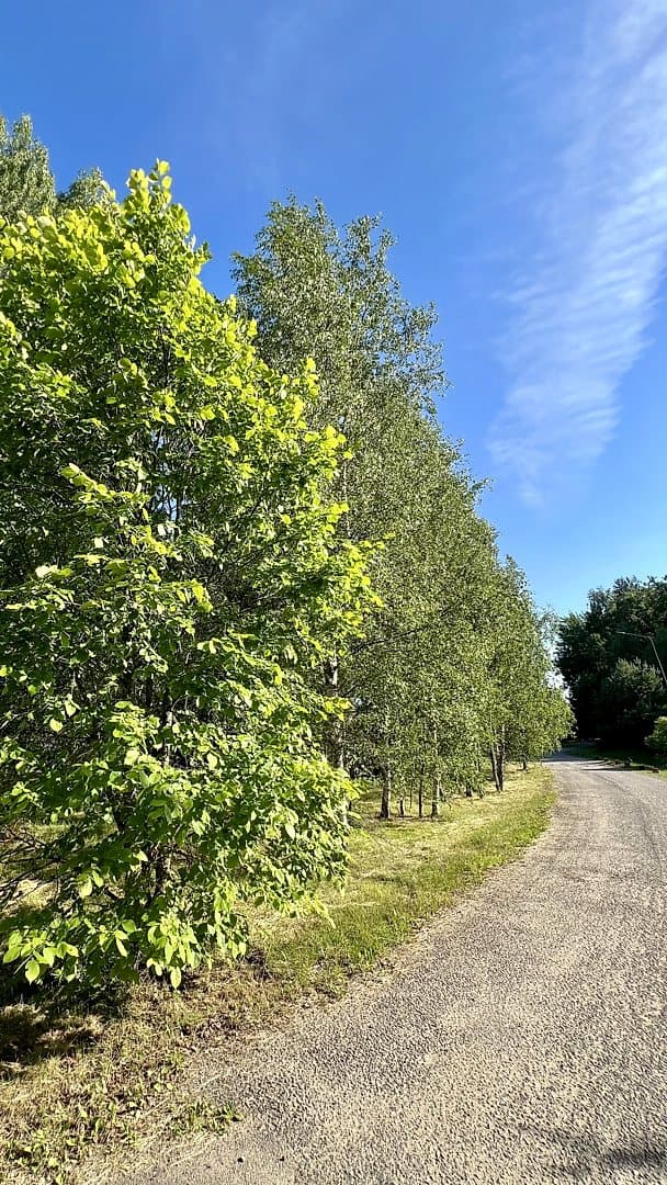 Zeme, 2240㎡ - Liepas pagasts, Liepa