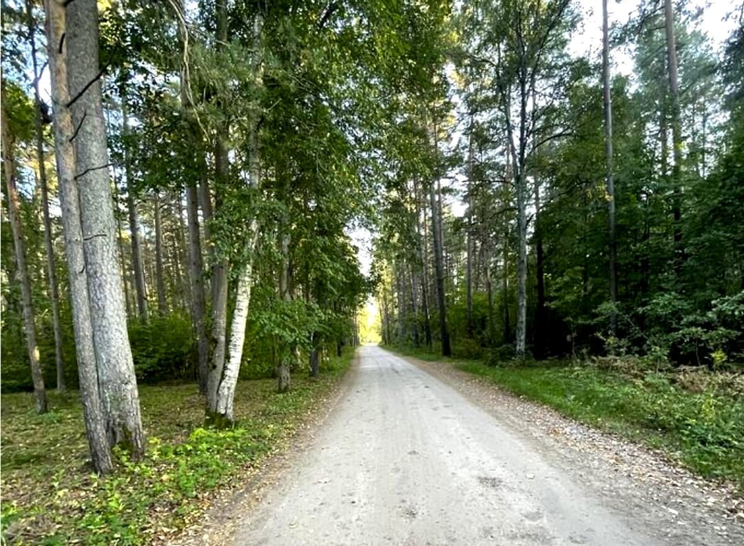 Zeme, 1713㎡ - Jūrmala, Druvciems — bilde 4
