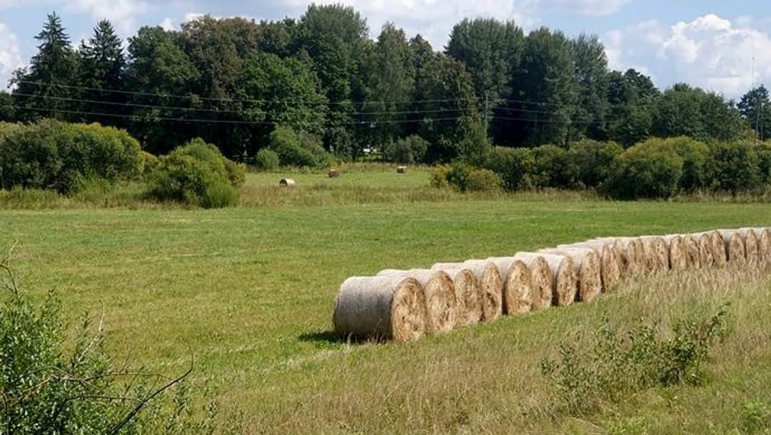 Zalves pagasts, Neretas novads