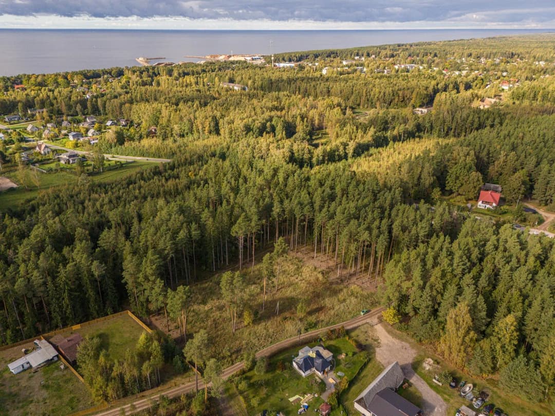 Koklīšu iela, Skultes pagasts, Limbažu novads — bilde 3